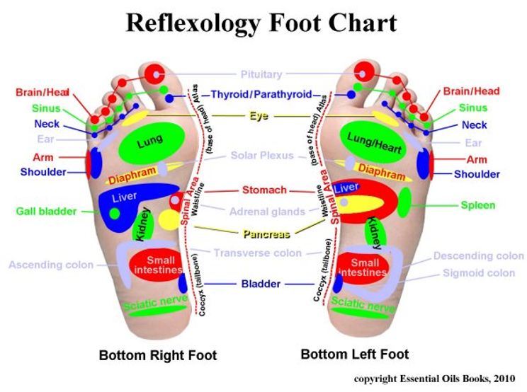 Reflexology Foot Chart | The Dr. Oz Show - The Dr. Oz Show Reflexology Foot Chart | The Dr. Oz Show - The Dr. Oz Show