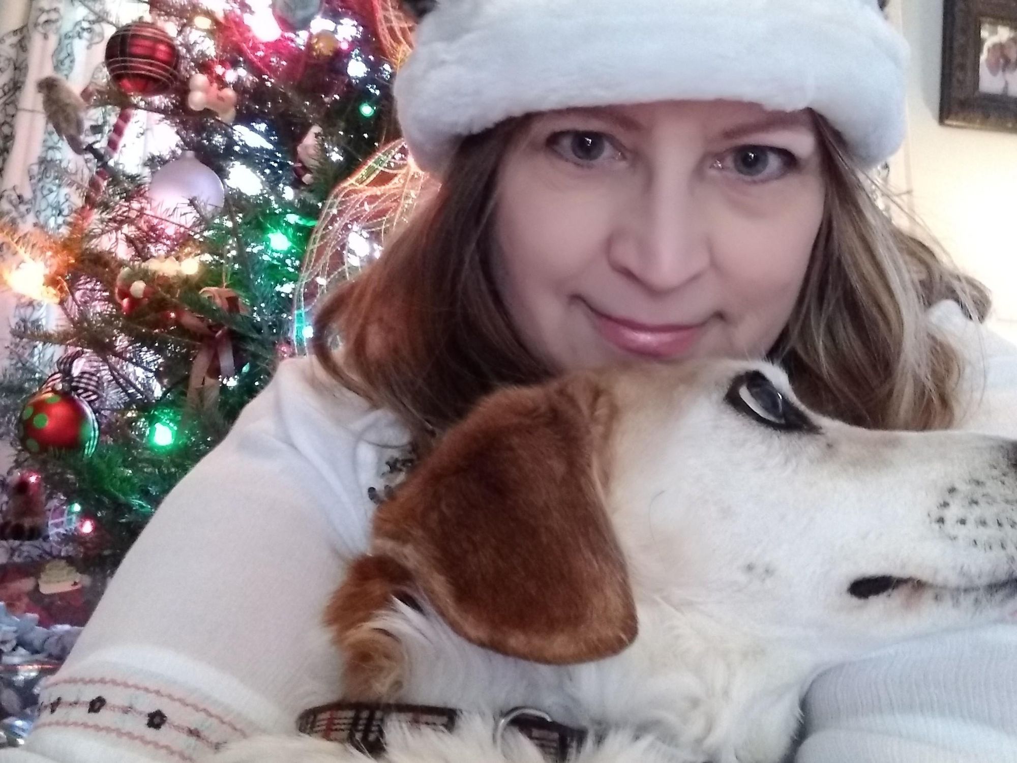 Puppies Deserve Better After Christmastime
