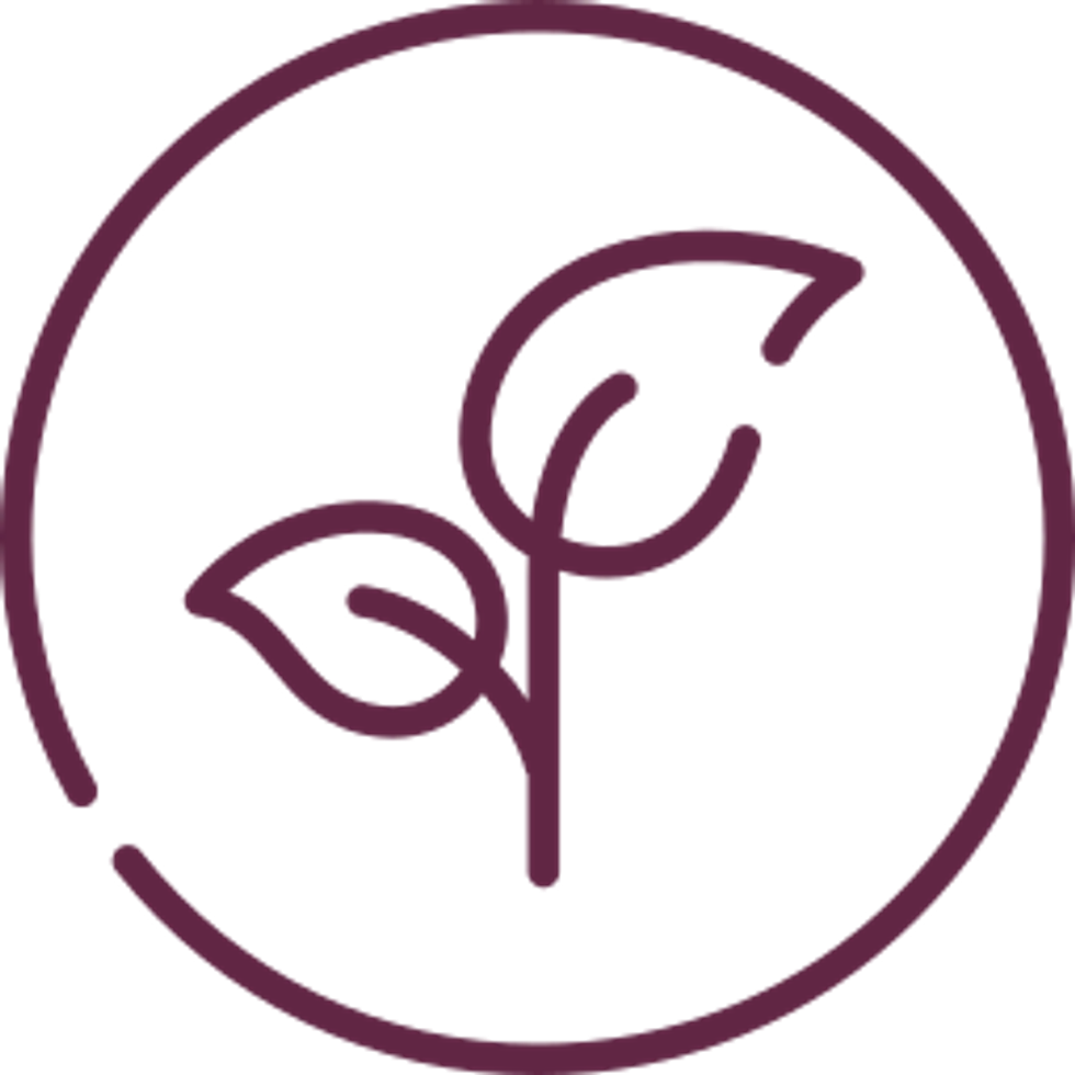 EstrogenFree Solutions For All Phases Of Menopause