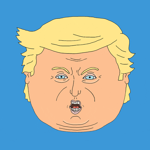 Trump Will Pardon Them All, Will Pardon His Family, Will Pardon Himself. F*CK IT, IT'S FINE.
