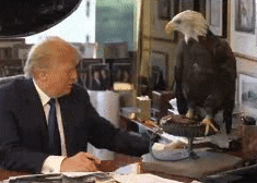 Trump Defunds The Troops Because You Were Mean To Him Online