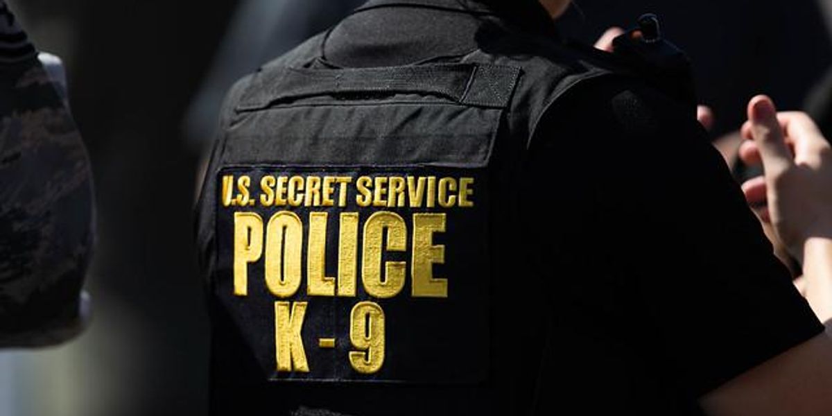 Probe Of Alleged January 6 Text Deletion By Secret Service Expands - Vimarsana News