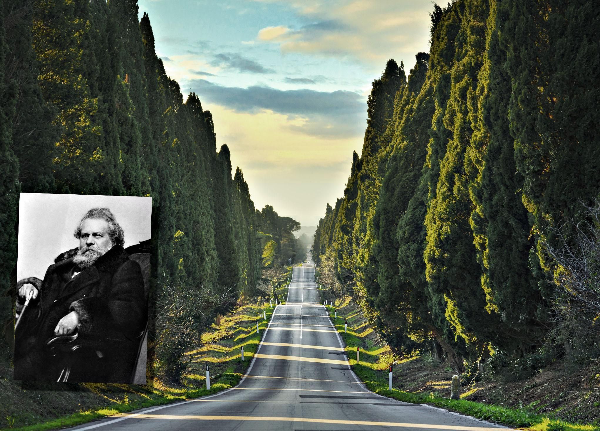 I rigogliosi cipressi narrati da Carducci che furono salvati grazie ai suoi versi