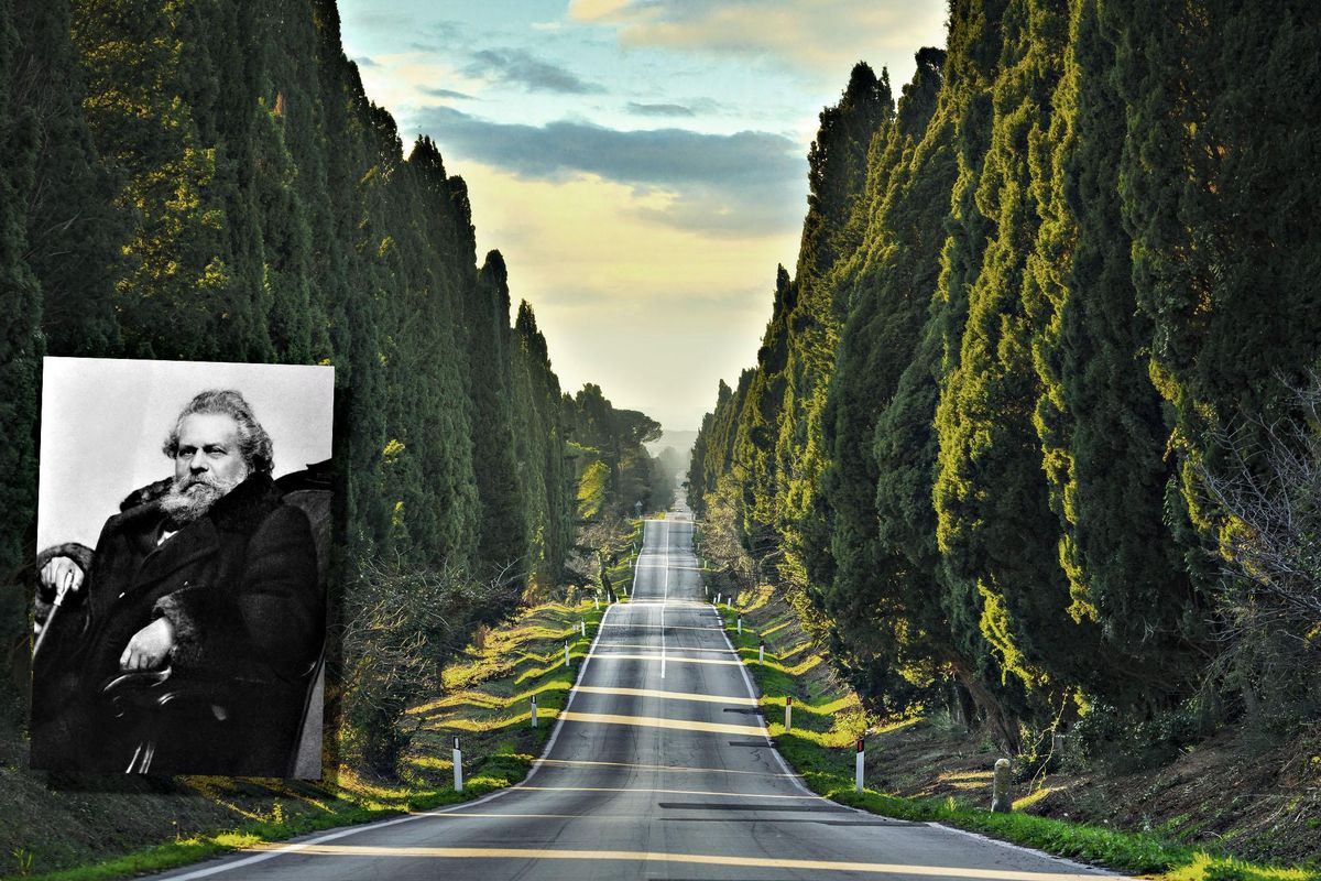 I rigogliosi cipressi narrati da Carducci che furono salvati grazie ai suoi versi