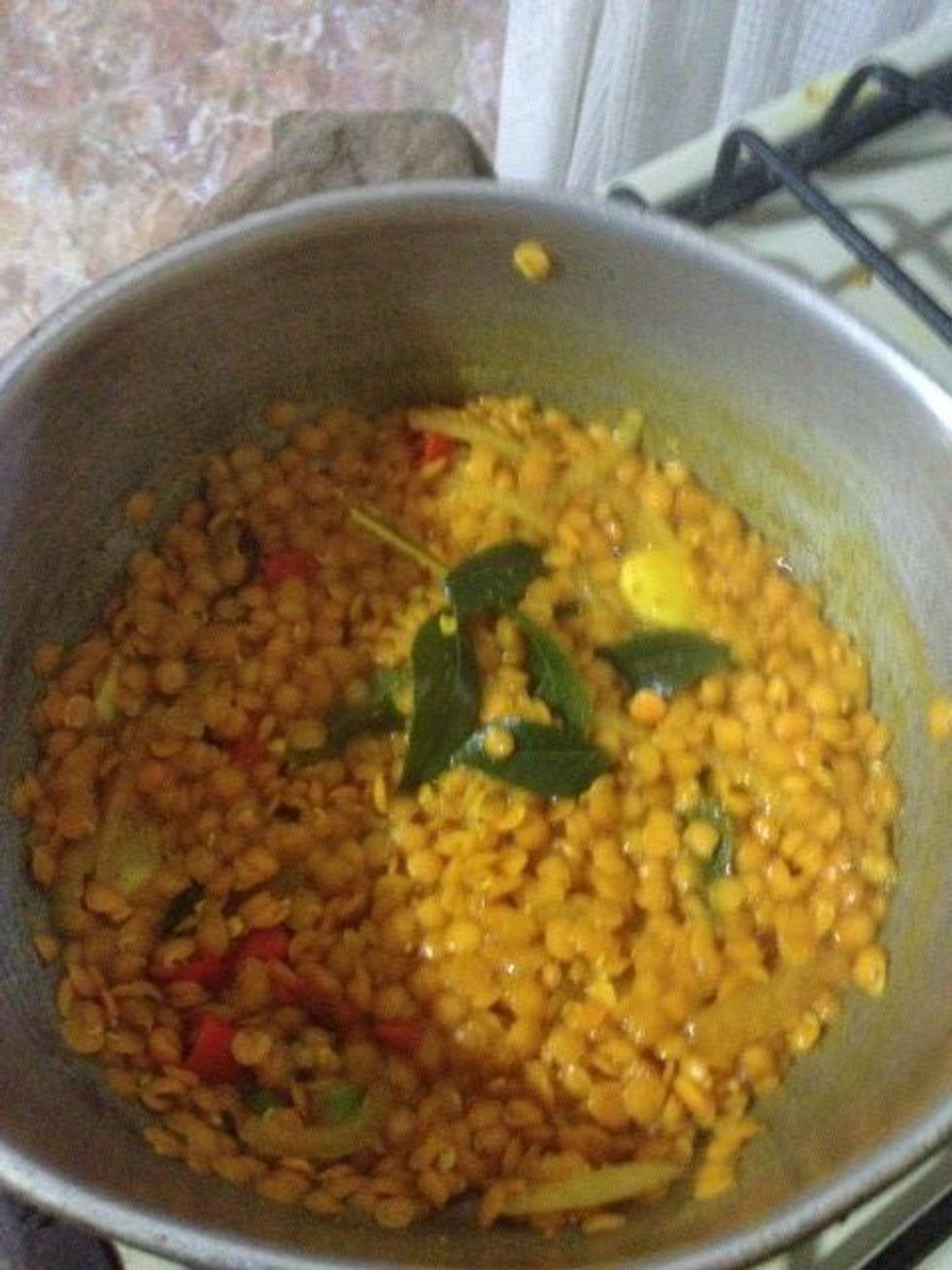 How to cook dhal curry B+C Guides