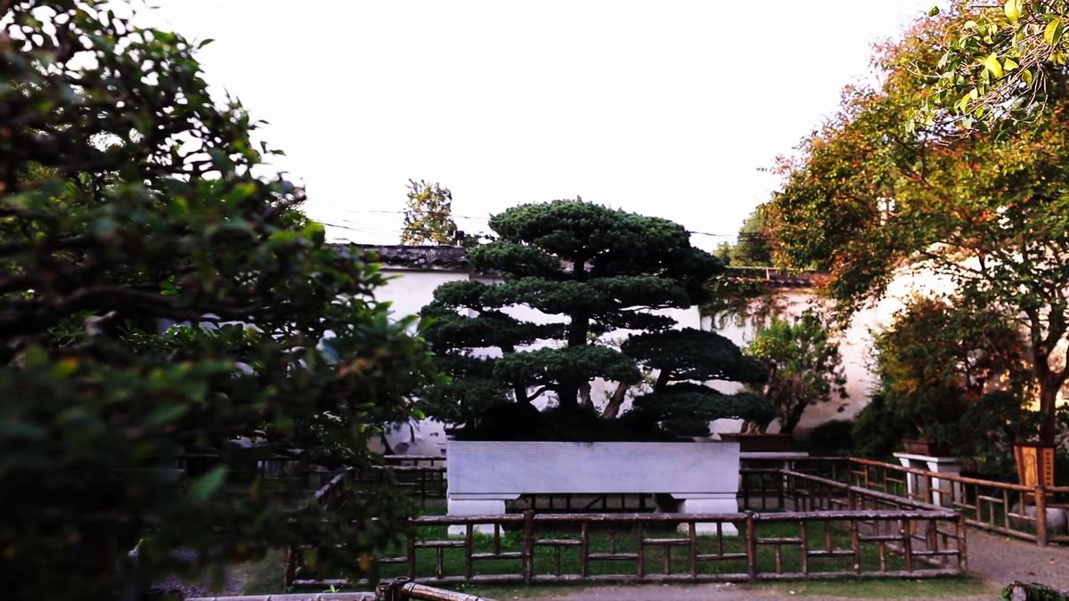 Visita virtuale ai Giardini di Suzhou