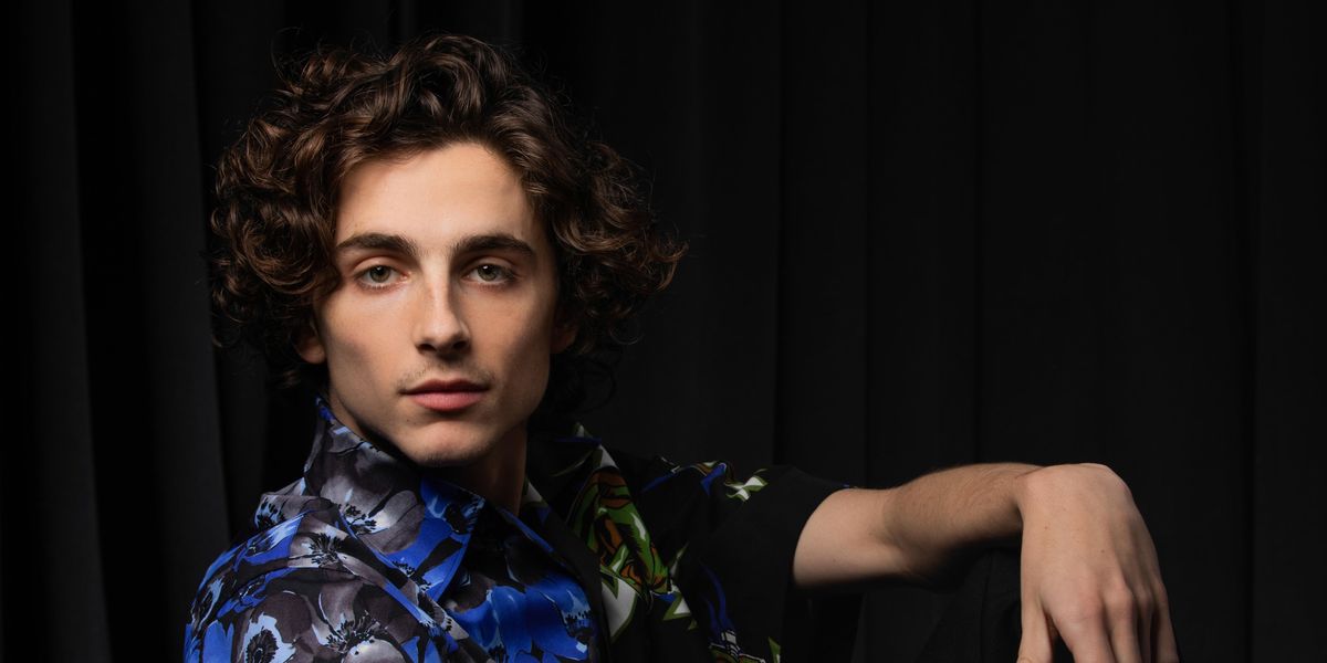 Play With Timothée Chalamet's Action Figure
