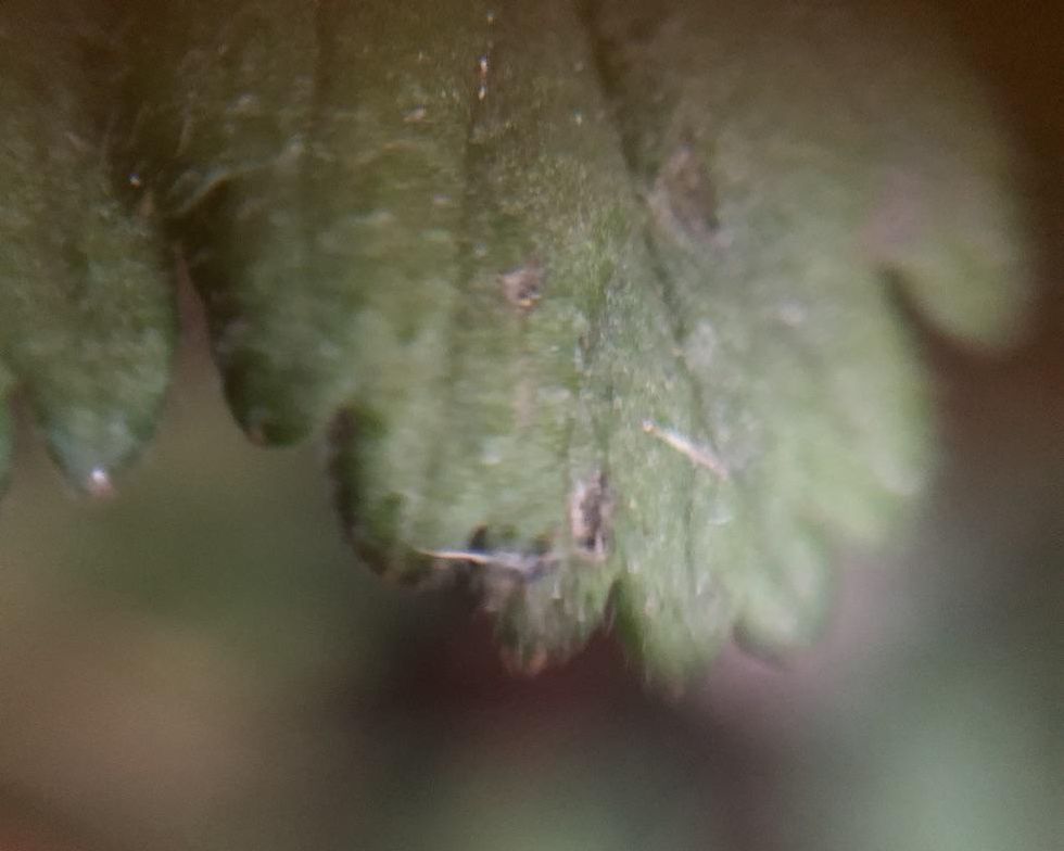 SmartLab Toys Outdoor Science Lab