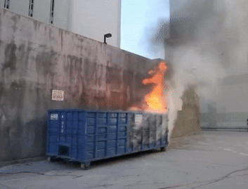 2020: All These Dumpster Fires Actually Happened This Year.