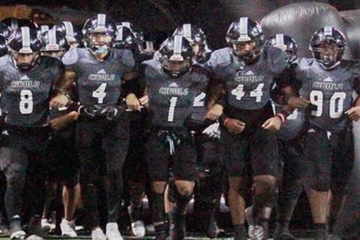 Only One Remains- The Steele Knights