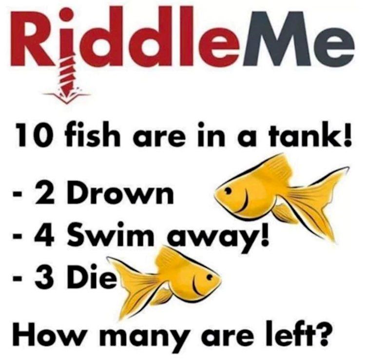 12 Quick Riddles That Will Put Your Intelligence To The Test | 22 Words