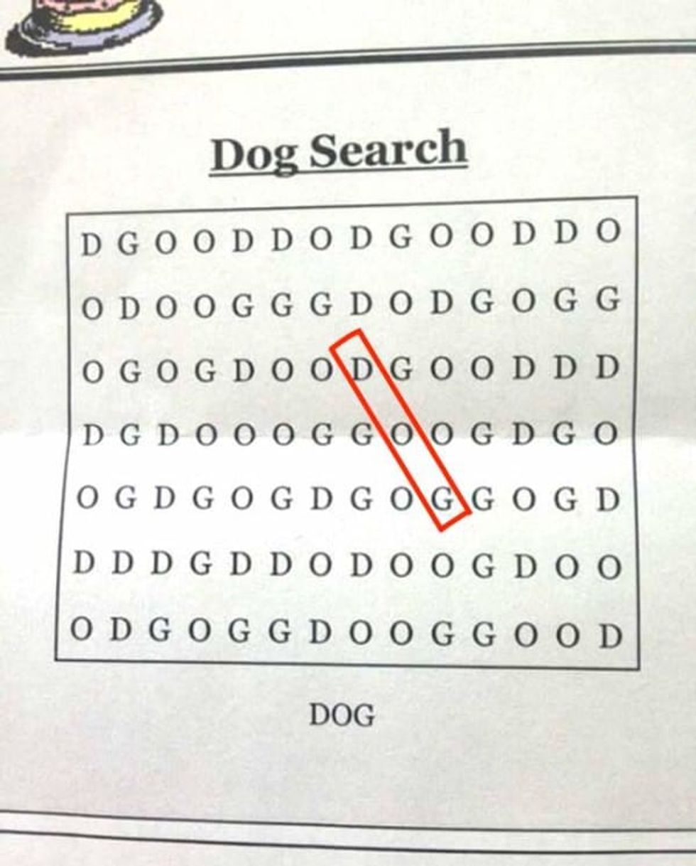 Dog Word Search Puzzle Answer