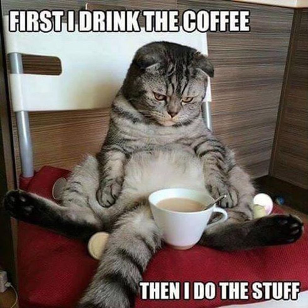 Here Are 30 (MORE!) Hilarious Coffee Memes To Perk Up Your Day 22 Words