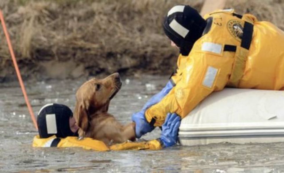 23 Moving Photos of Firefighters Risking Their Lives To Rescue Animals