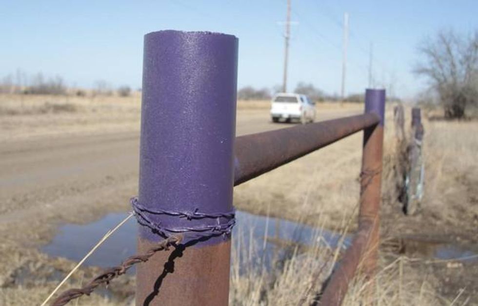 If You See Purple Fence Posts, It's VERY Important To Know the Reason