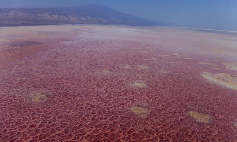 is lake natron deadly is lake natron deadly