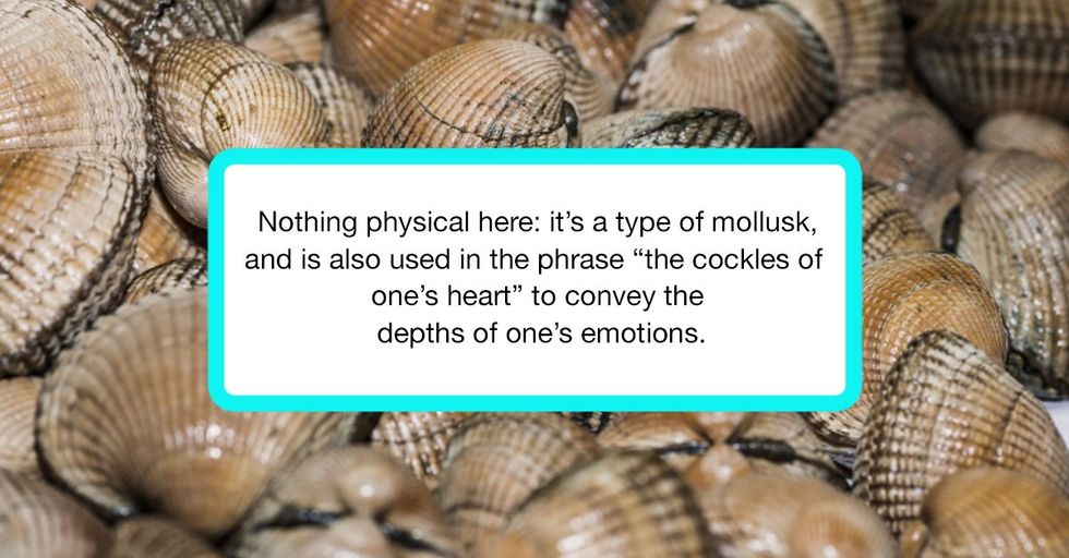 20 Bizarre Words That Sound Dirty But Actually Aren T 22 Words