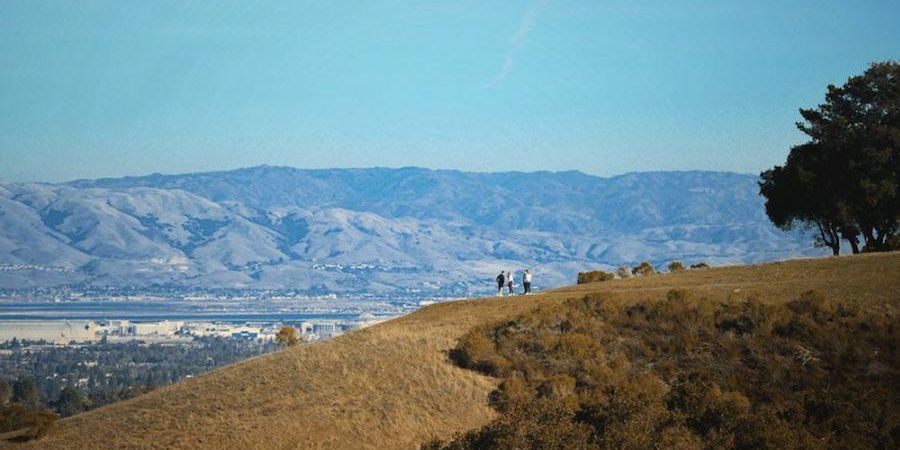 21 Fun Things to Do This Week (1.4.21) - Vimarsana News