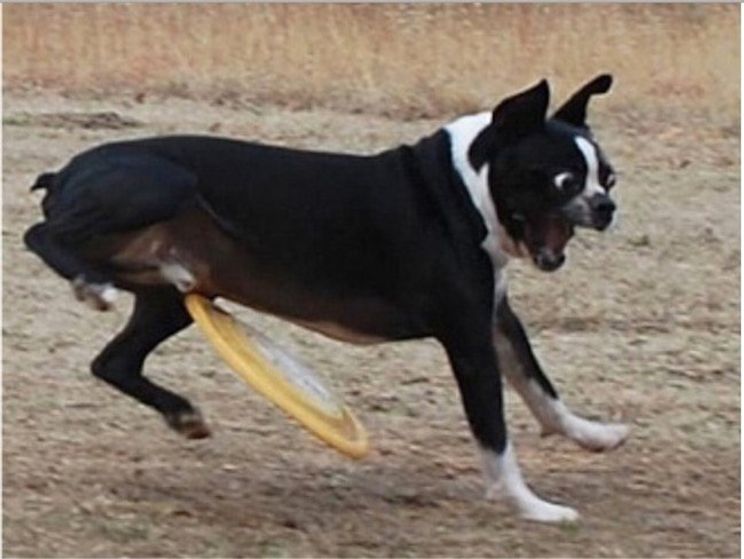 48 Photos Taken Just Seconds Before Disaster 22 Words