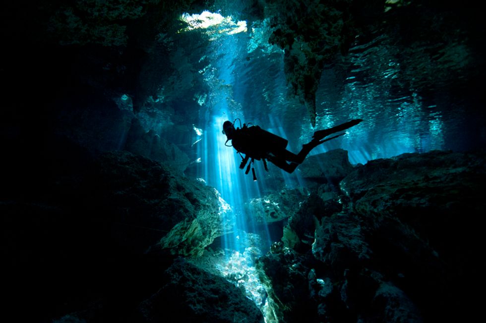 Divers Complete Deepest Ocean Dive in Antarctica and Find Disturbing ...