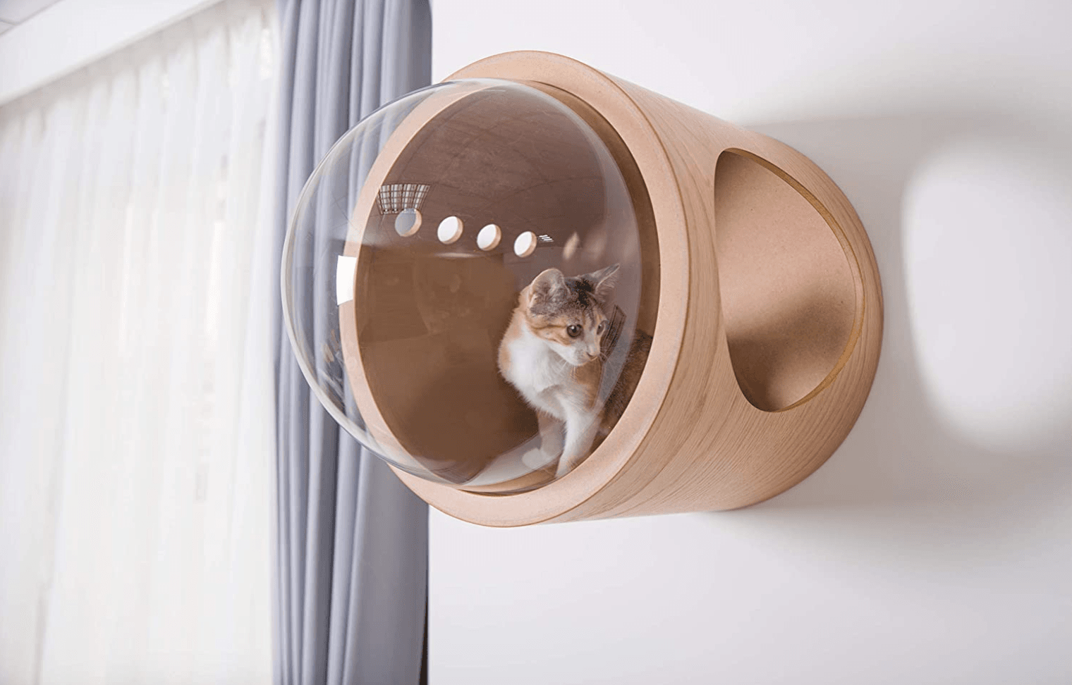 bubble window cat bed