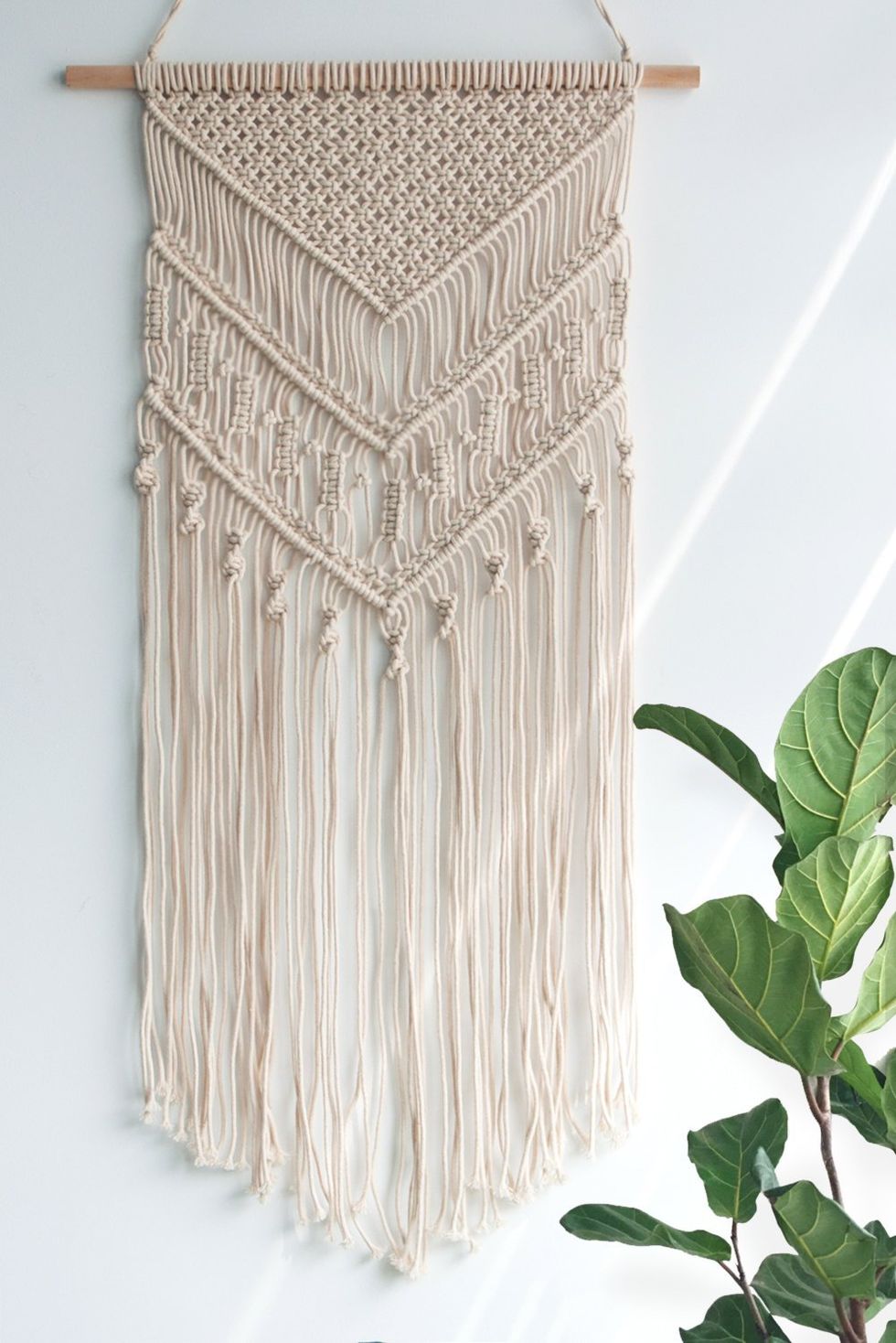 A wall hanging and plant.