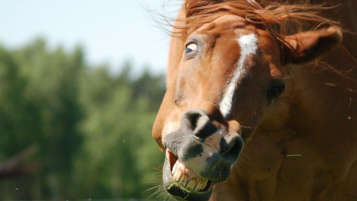People Describe The Stupidest Thing Someone Has Ever Said To Them With The Utmost Confidence