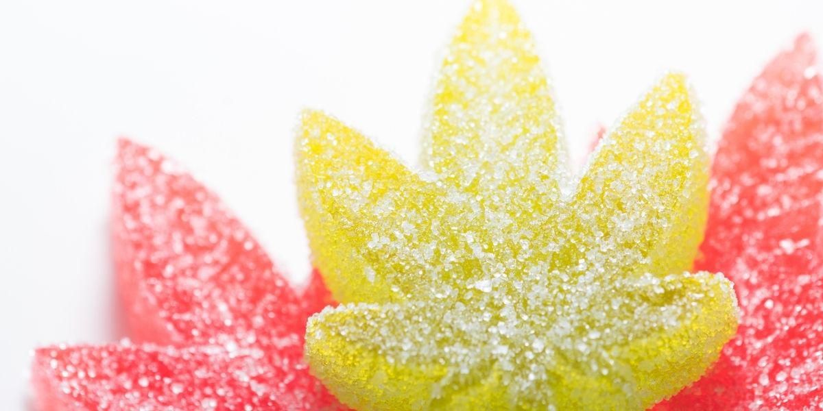 Various Ways to Take CBD Oil - Topdust 3