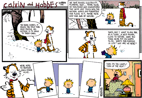 Calvin and Hobbes