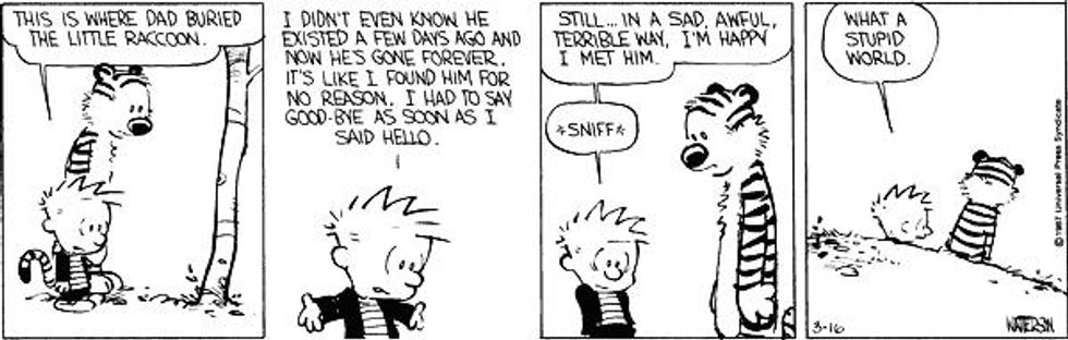 Calvin and Hobbes