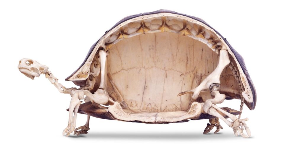 These Everyday Objects Cut In Half Will Blow Your Mind 22 Words