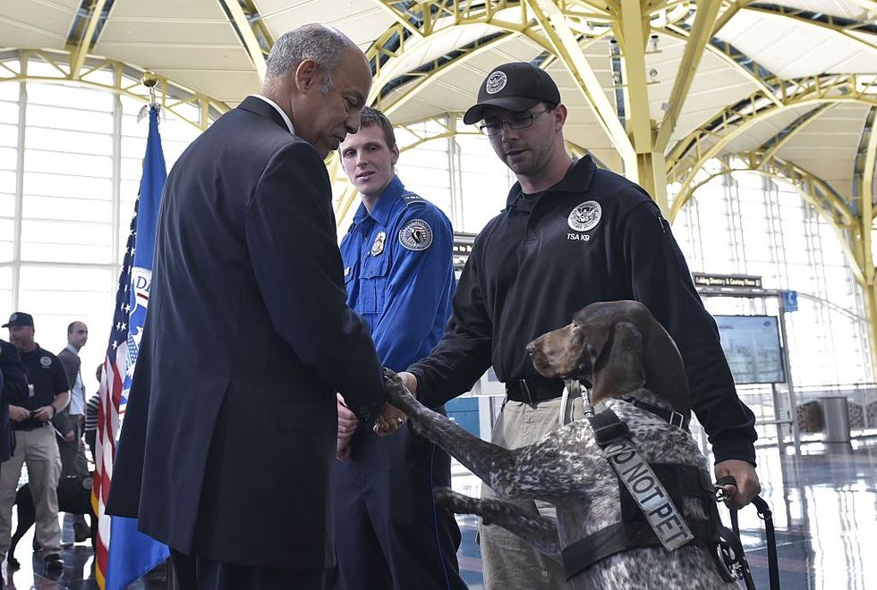 You Can Adopt Dogs That Failed Government Training for Being Too Nice