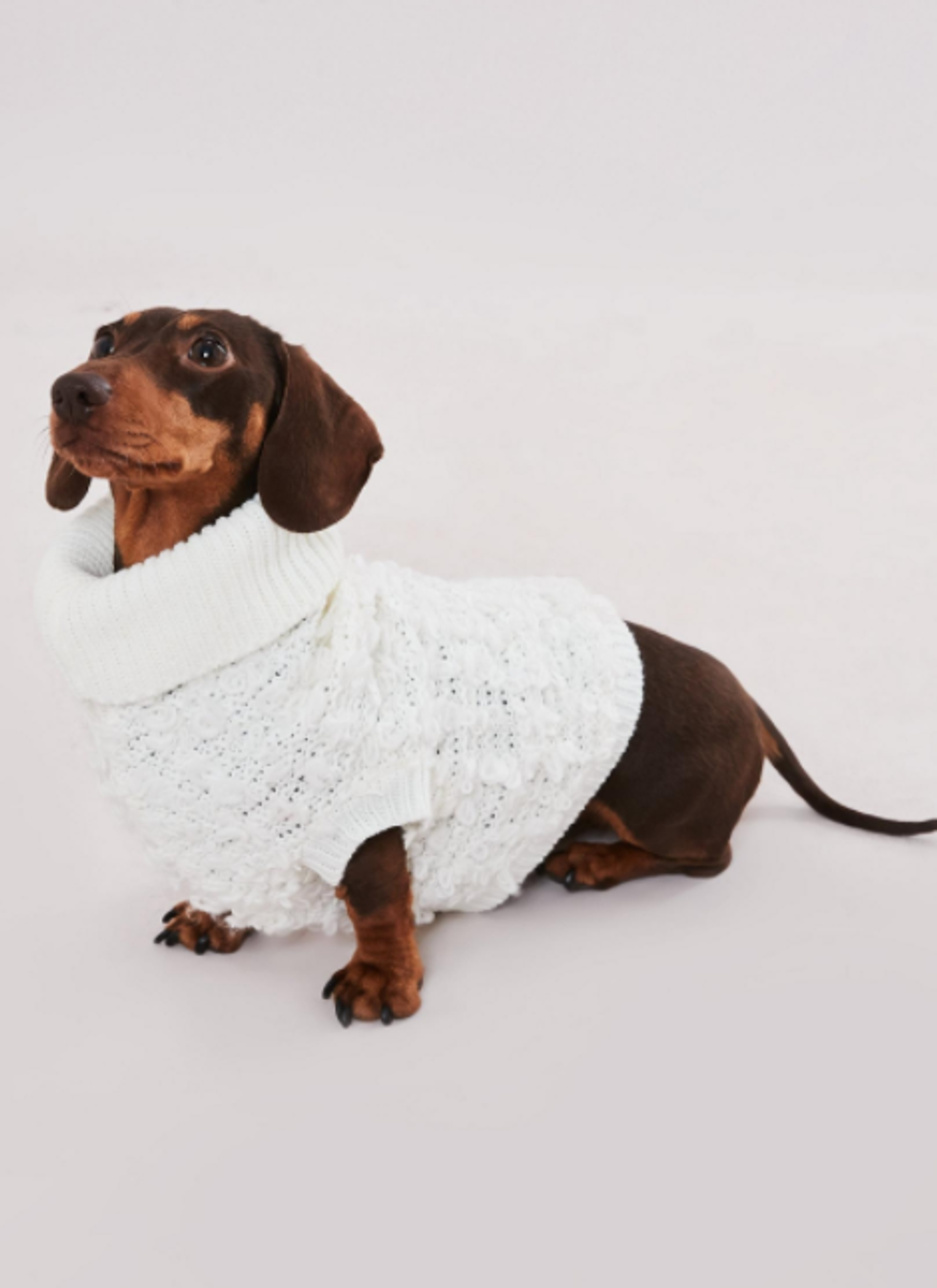 You Can Now Buy Matching Turtlenecks for You and Your Dog | 22 Words