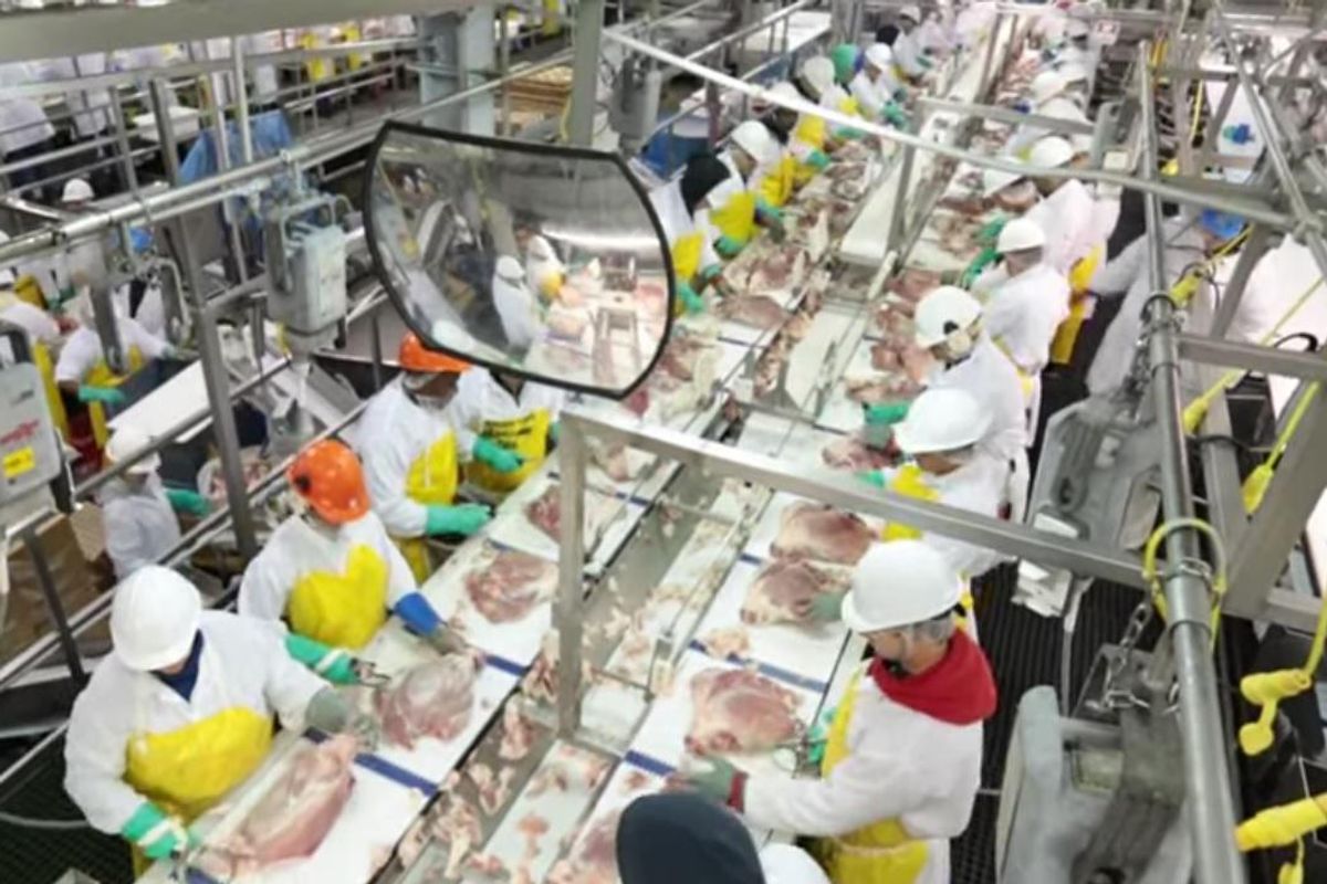 Nebraska Gov: Undocumented Meat Packers Won't Get Vaccine, Because Reasons