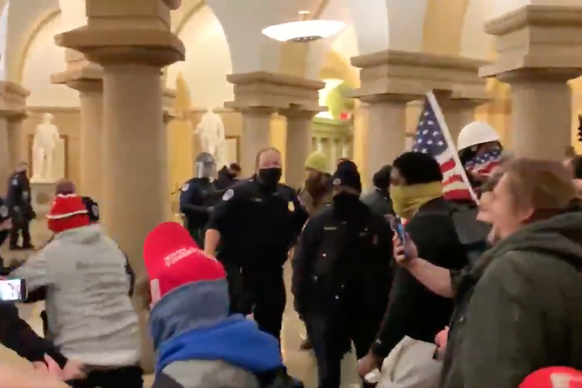 Trumpists Storm Capitol At Behest Of Dear Leader
