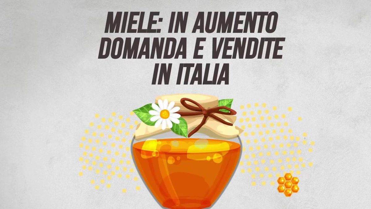 Miele: in aumento domanda e vendite in Italia