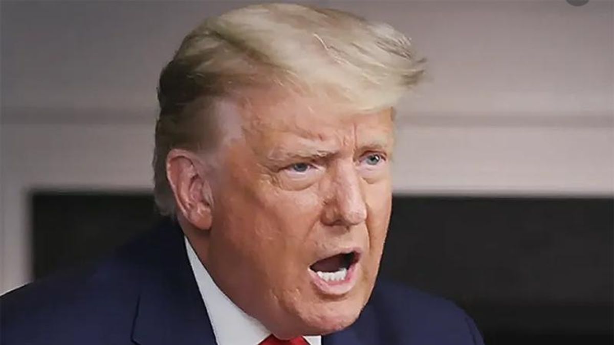 'He's insane': Trump ripped for calling his comments that led to Capitol riot 'totally appropriate'