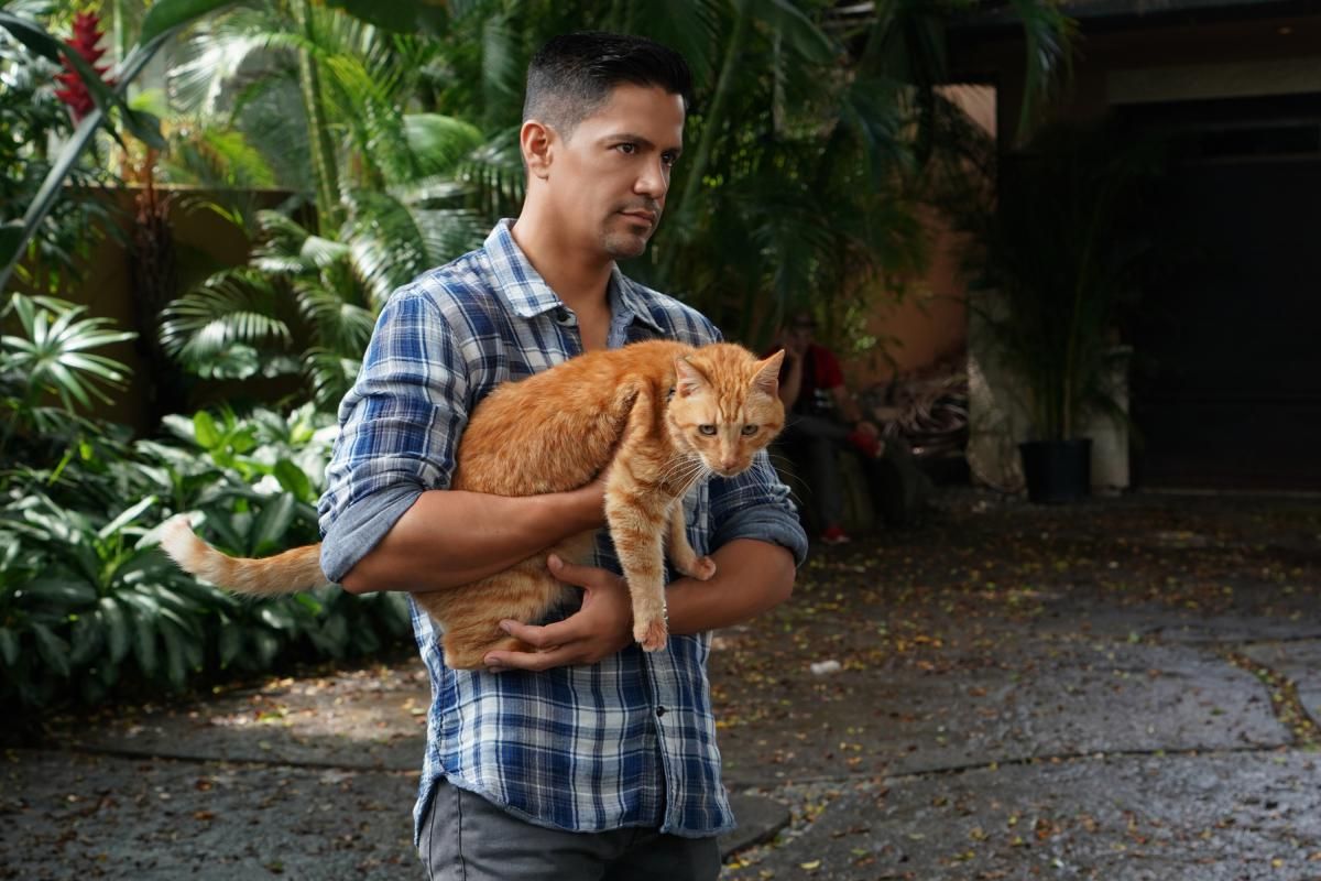 Thomas Magnum holding an orange tabby cat