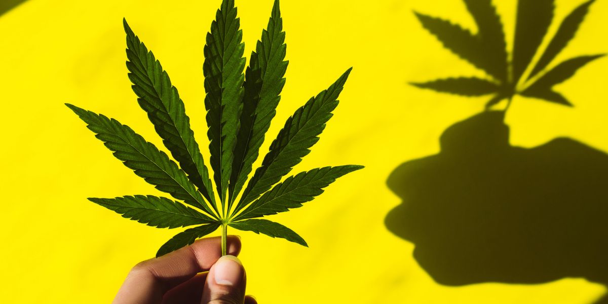 New York Is Closer to Legal Weed Than You Think