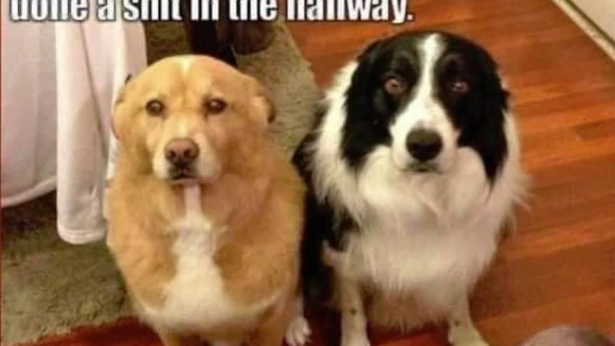 Boss Trump, America's Biggest Crybaby, And His Whining Imitators