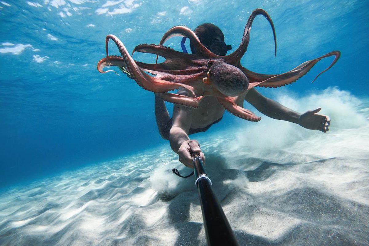 GoPro Labs
