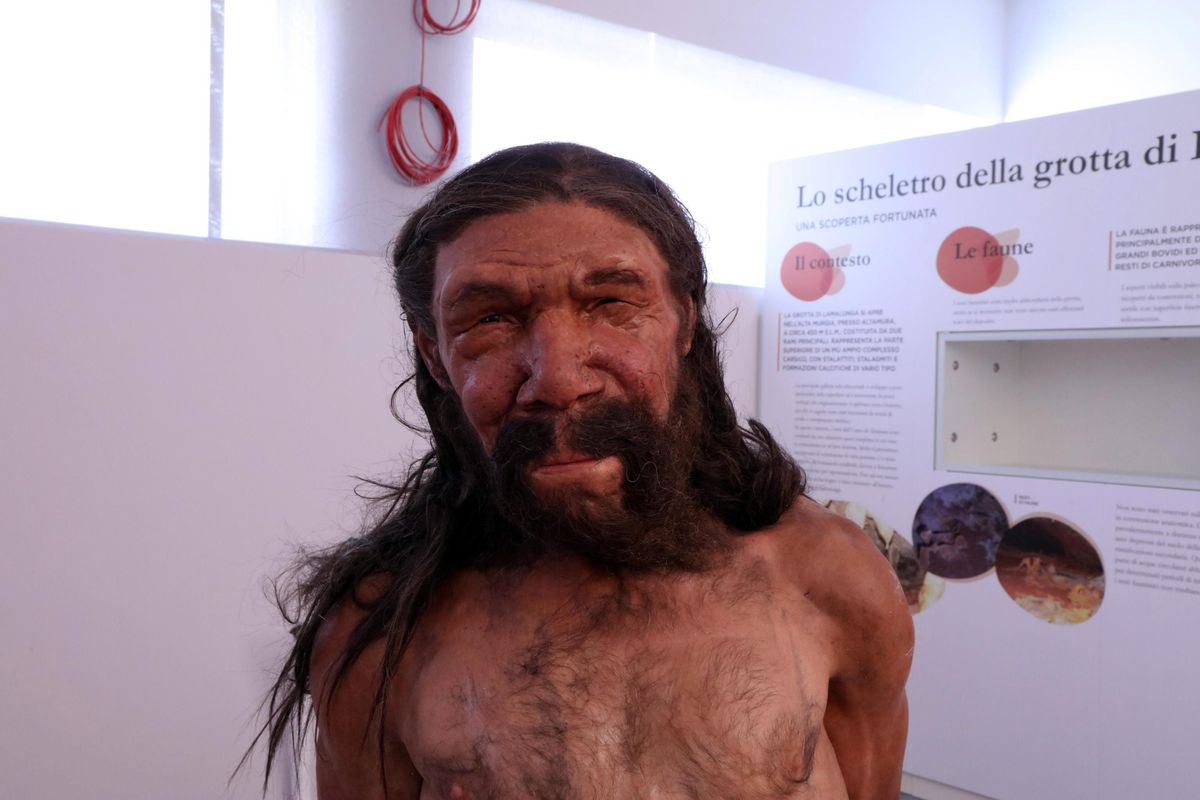 «Neanderthal è la soluzione per il Covid»