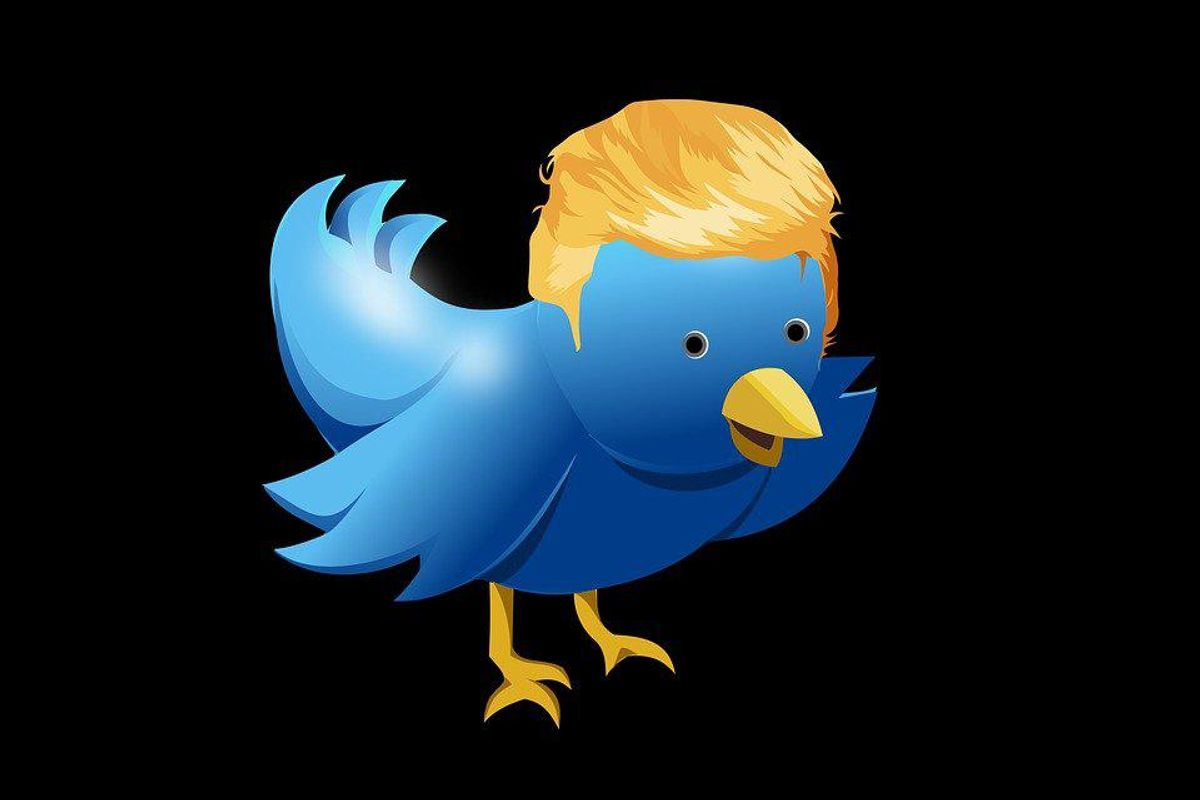 Does Trump's Twitter Ban Violate The Government's First Amendment Right To Compel Speech?