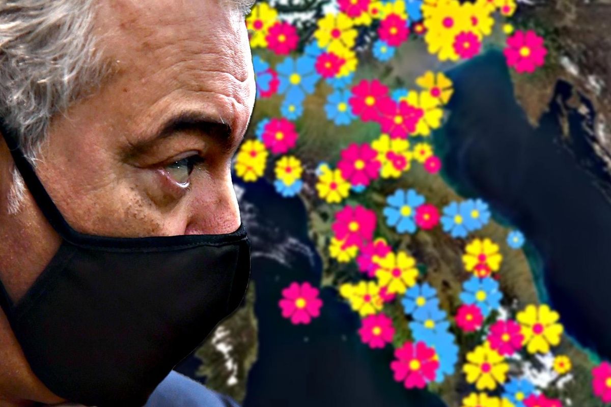 Arcuri a caccia di donazioni per le Primule