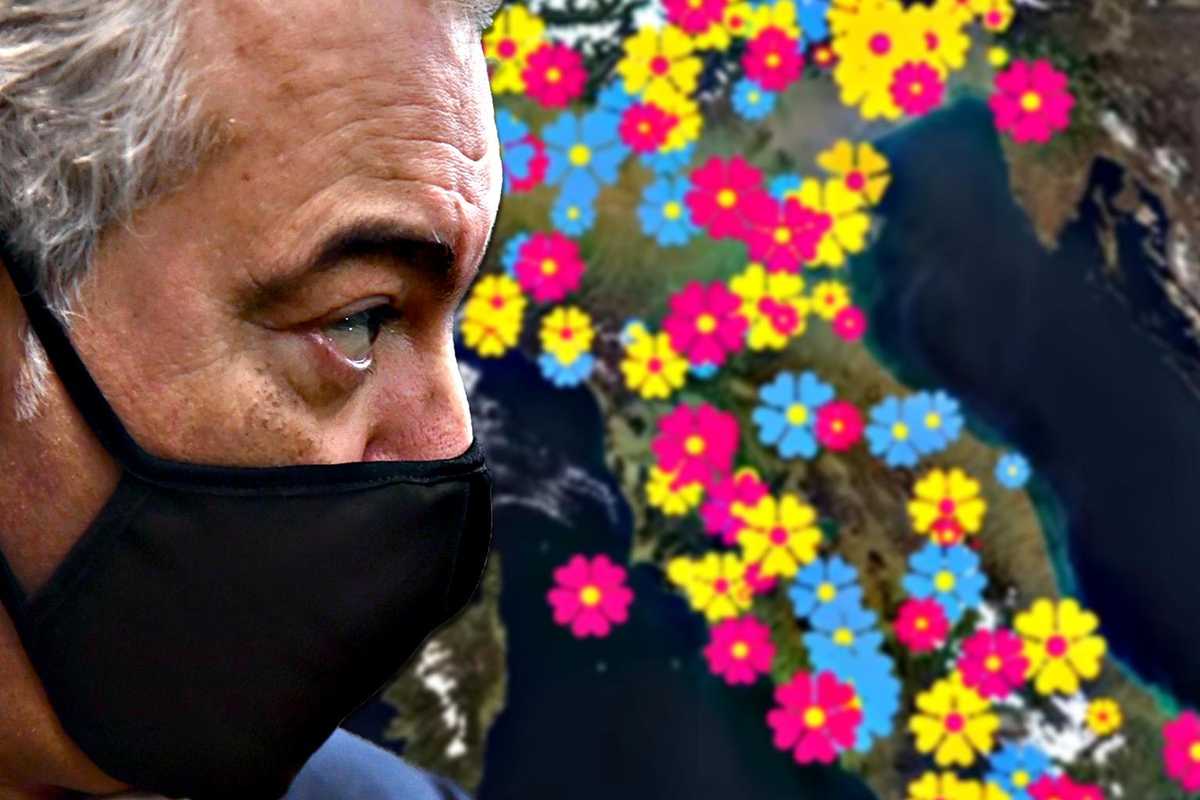 Arcuri a caccia di donazioni per le Primule