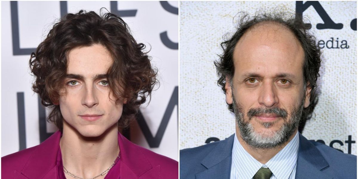 Timothée Chalamet, Luca Guadagnino May Be Making a Cannibal Movie
