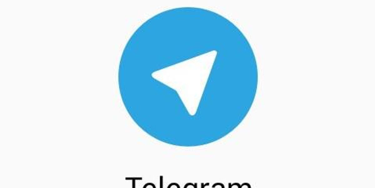 After The Riot: Inside A Secret Militia’s Telegram Chat Room - National ...