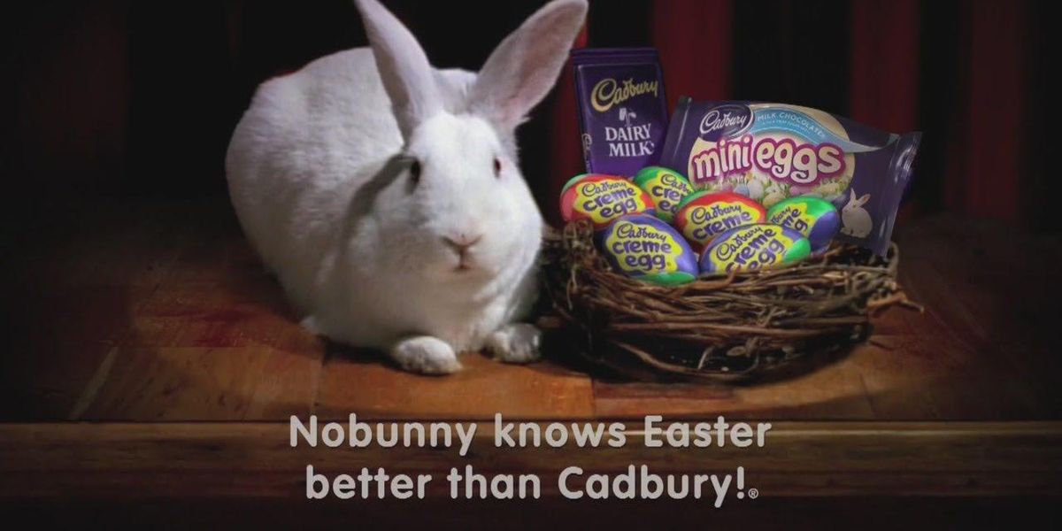 Your pet could star in the next Cadbury Bunny Easter commercial It's