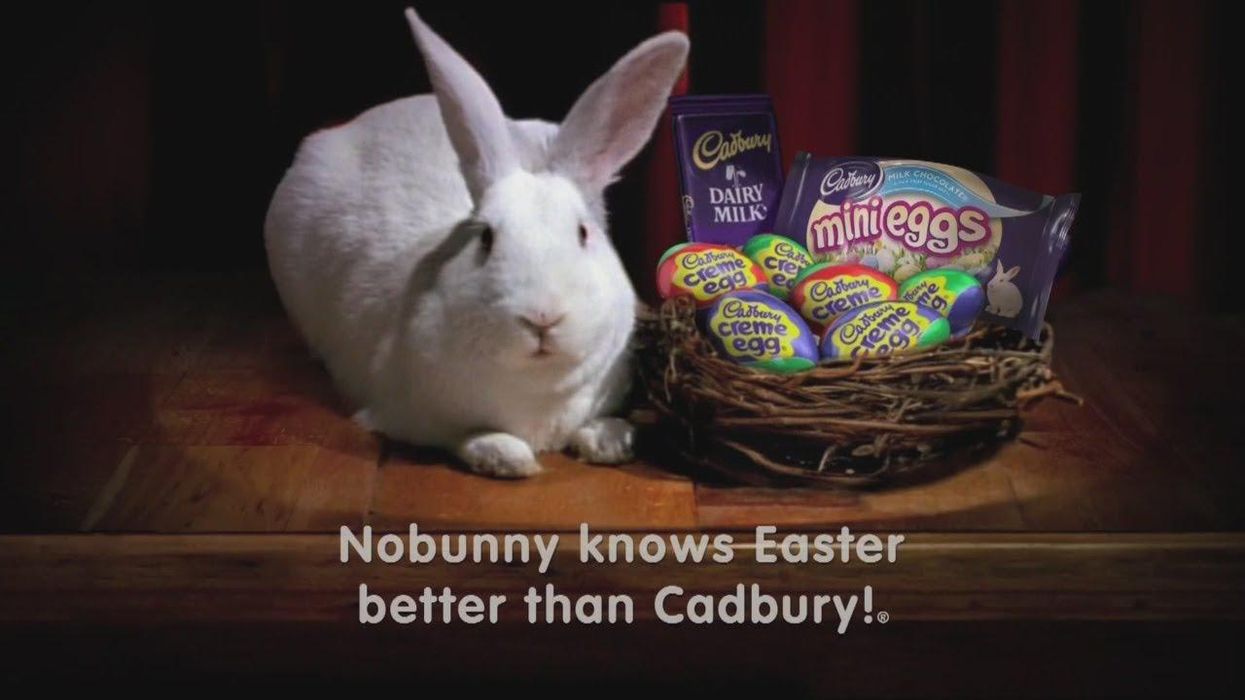 Your pet could star in the next Cadbury Bunny Easter commercial