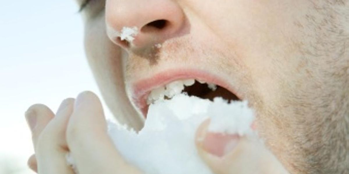 6-ways-to-eat-snow-trueself